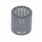 Schoeps MK 2 S Omni Recenze: Upřímný názor na zvuk