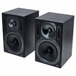 Behringer B2031A Truth Recenze: Pod lupou: detaily a zvuková scéna