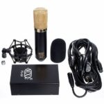 MXL V69M Recenze: Shrnutí testu mikrofonu