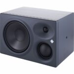 Neumann KH 310 A right Recenze: Shrnutí testu monitorů