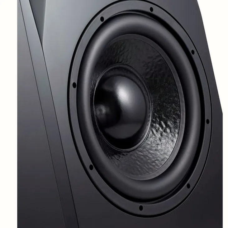 ADAM Audio Sub12 Recenze: Konečný průvodce modelem