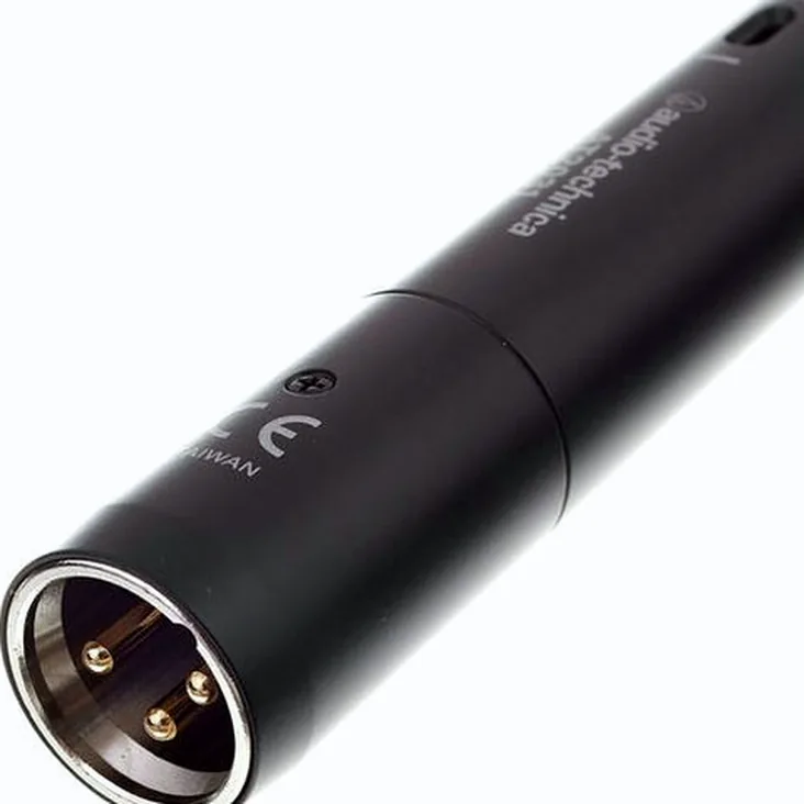 Audio-Technica AT 2031 Recenze: Upřímný verdikt uživatele