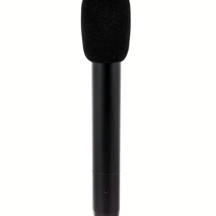 Audio-Technica AT 2031 Recenze: Upřímný verdikt uživatele