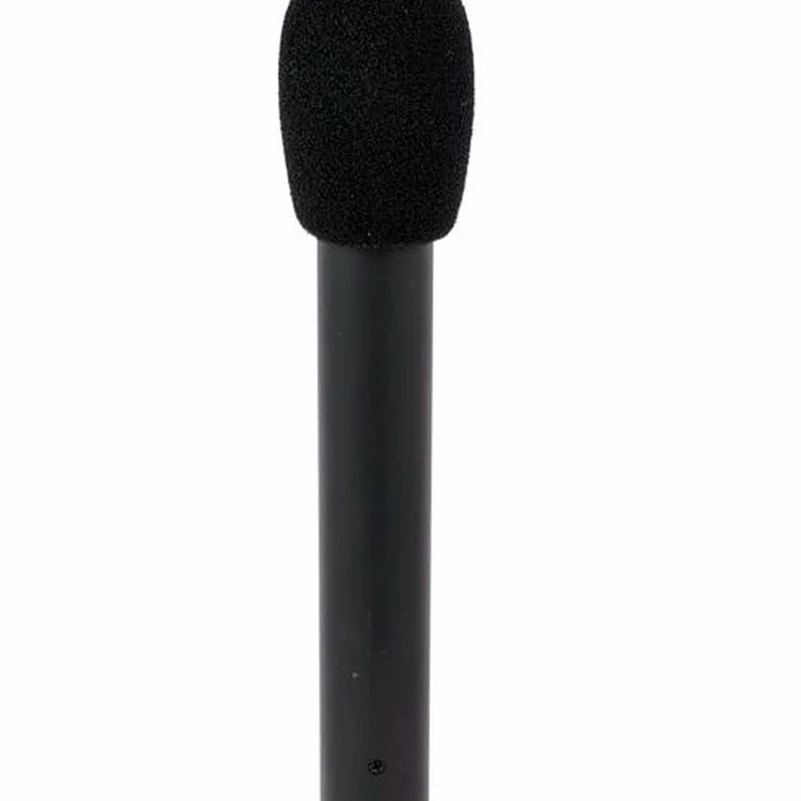 Audio-Technica AT 4022 Recenze: Výhody a nevýhody konstrukce