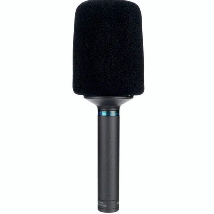 Audio-Technica AT8022 Recenze: Stojí za to do domácího studia?