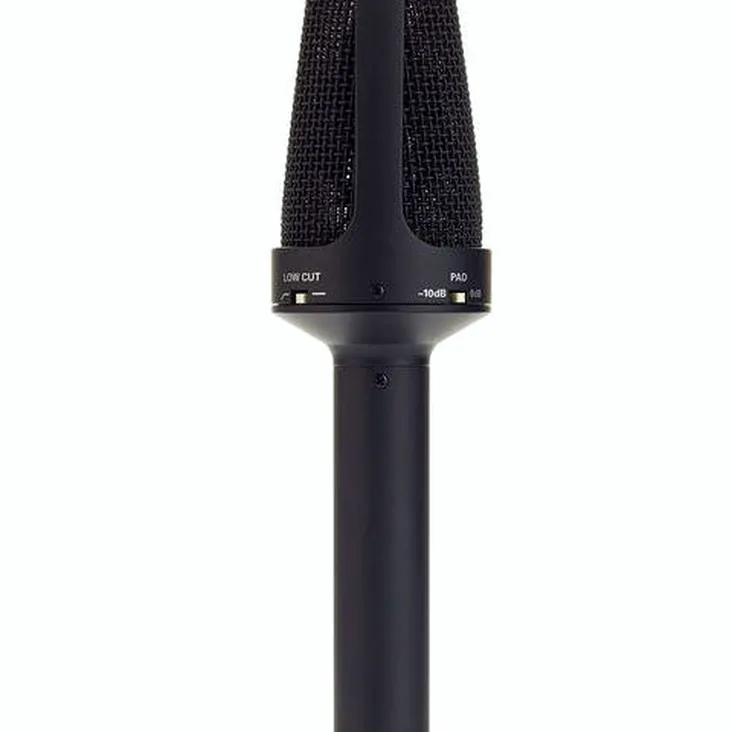 Audio-Technica BP4025 Recenze: Naše myšlenky po testování