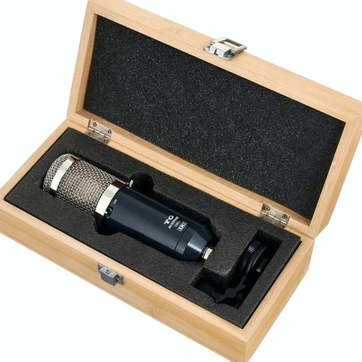 Chandler Limited TG Microphone Type L Recenze: Expertní analýza zvuku