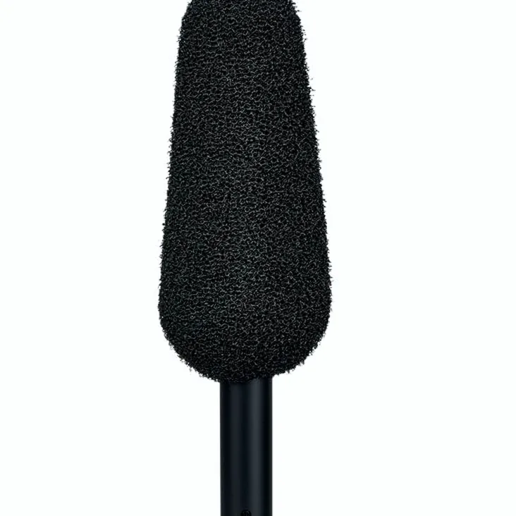 DPA 2017 Shotgun Microphone Recenze: Výhody a nevýhody konstrukce