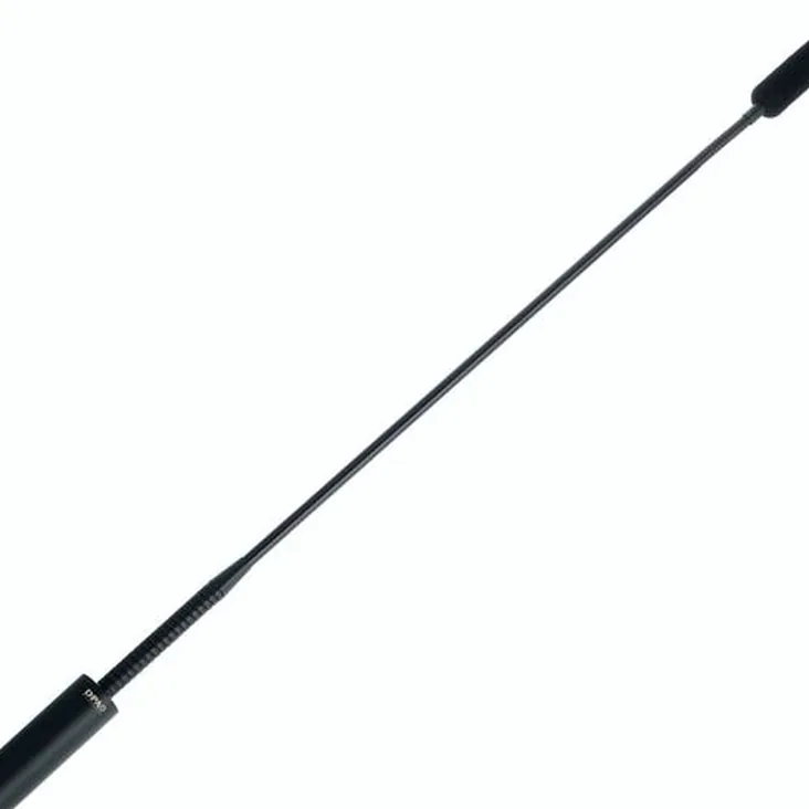 DPA 4098-DC-G-B01-045 Recenze: Zvuk, detaily a funkce