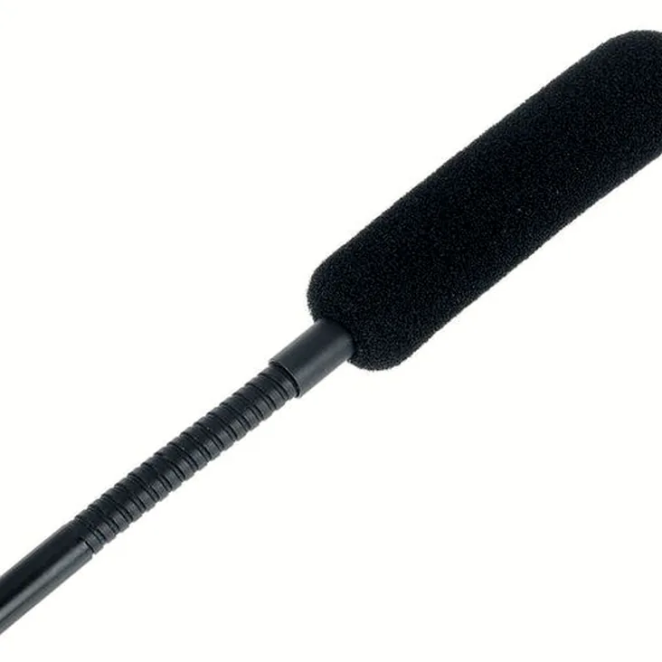 DPA 4098-DC-G-B01-045 Recenze: Zvuk, detaily a funkce