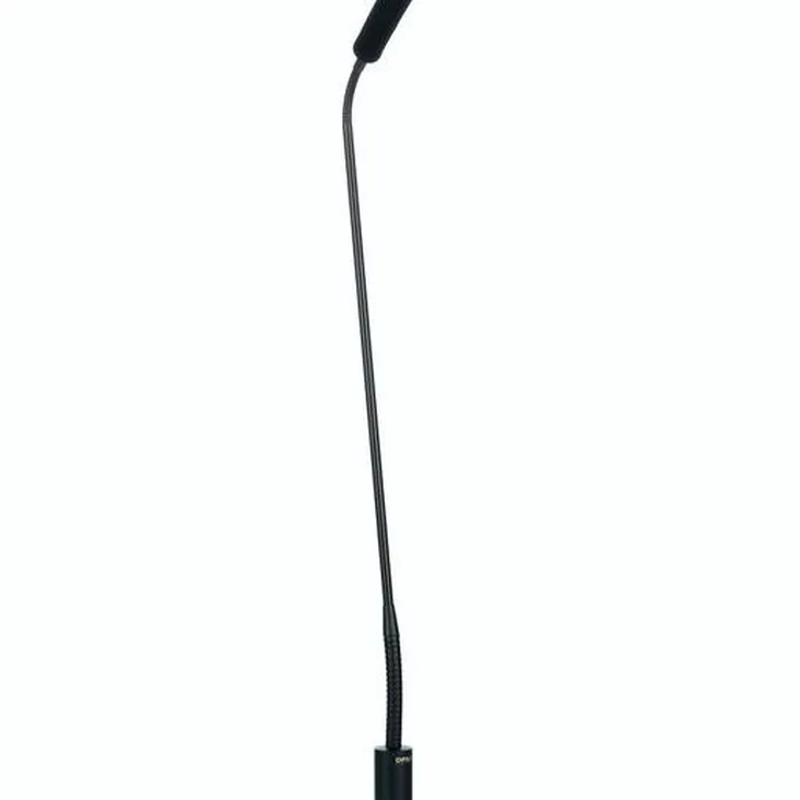 DPA 4098-DC-G-B01-045 Recenze: Zvuk, detaily a funkce