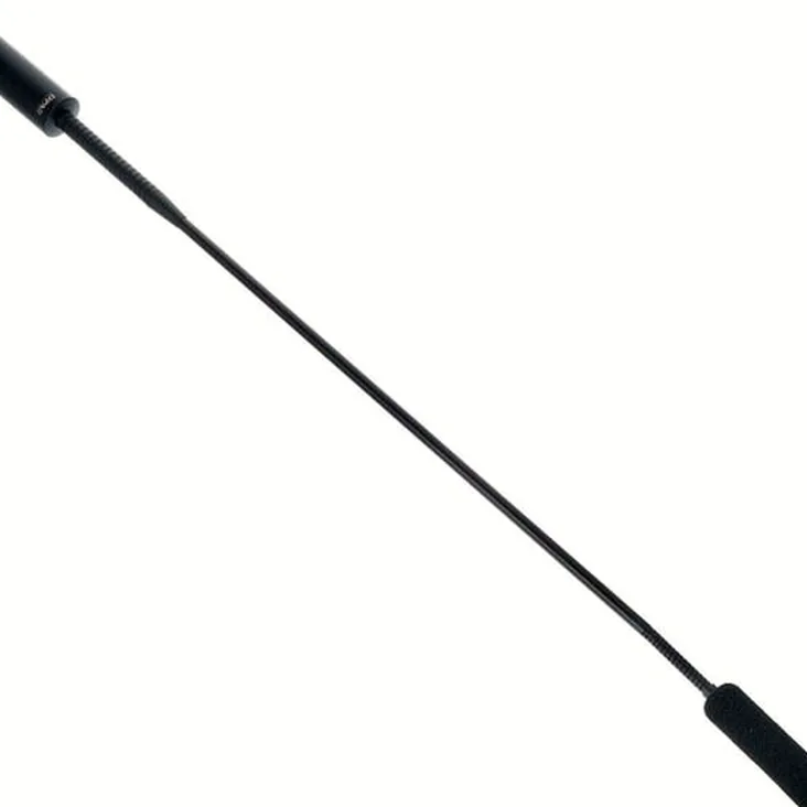 DPA 4098-DC-G-B01-045 Recenze: Zvuk, detaily a funkce