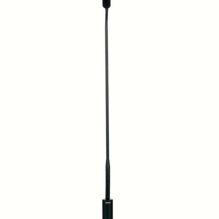 DPA 4098-DC-G-B01-045 Recenze: Zvuk, detaily a funkce