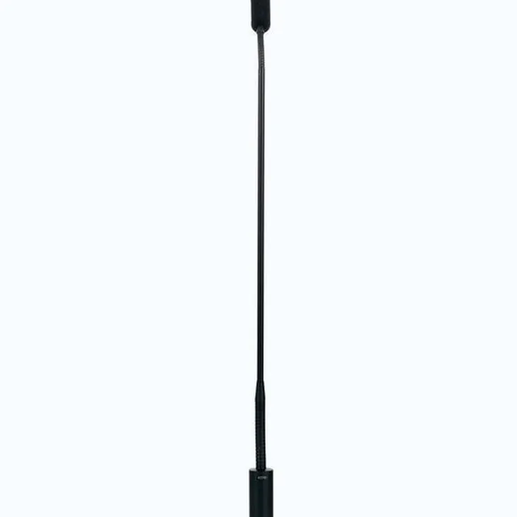 DPA 4098-DC-G-B01-045 Recenze: Zvuk, detaily a funkce