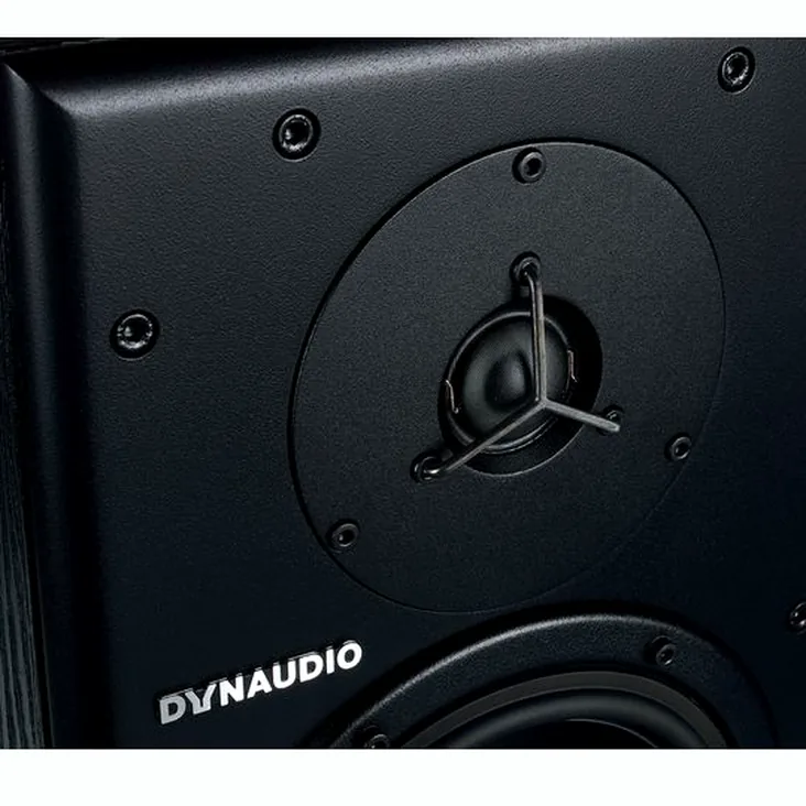 Dynaudio BM6A Classic Recenze: Vše o těchto monitorech
