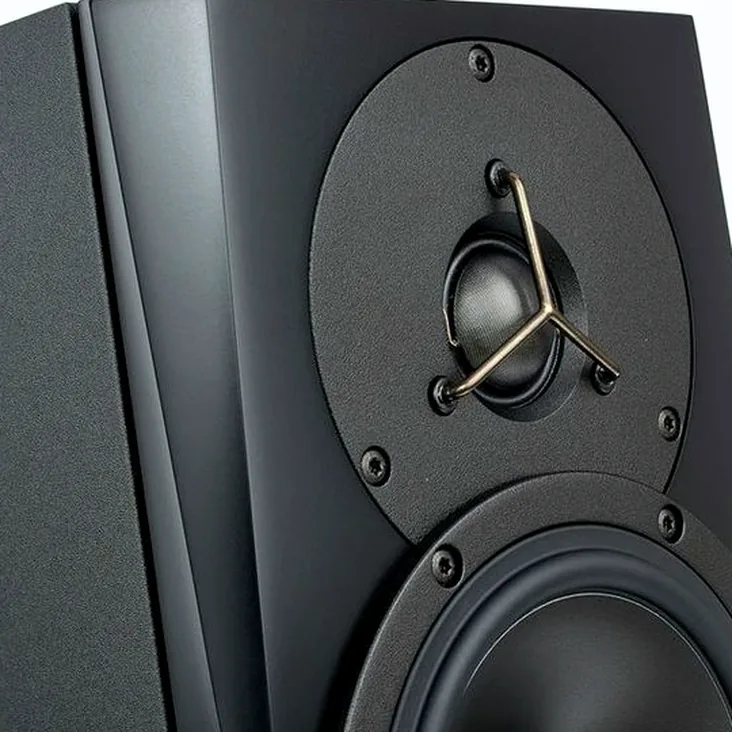 Dynaudio LYD-5 Black Recenze: Bližší pohled na komponenty