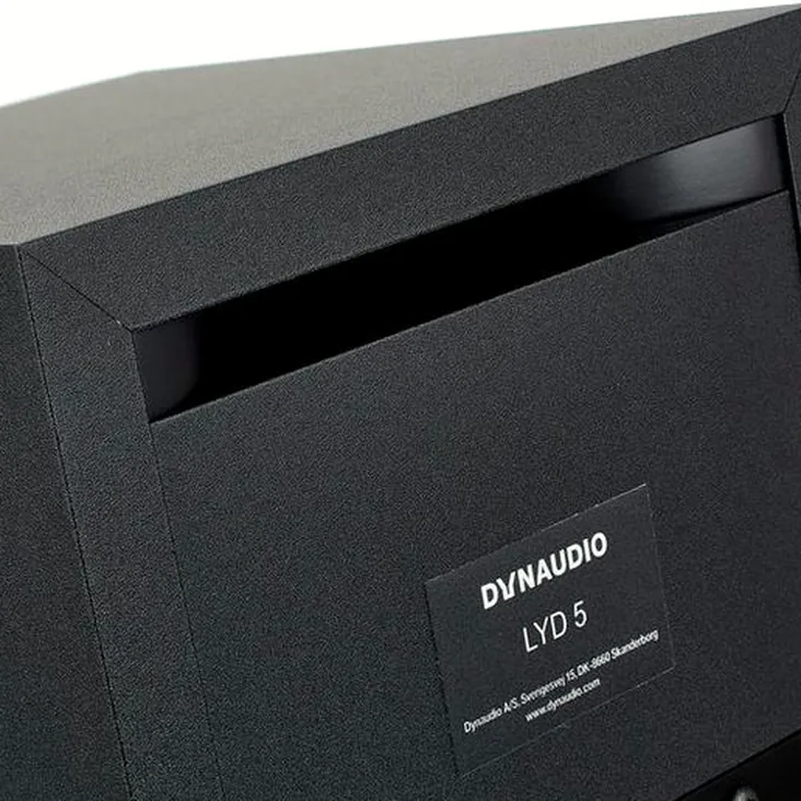 Dynaudio LYD-5 Black Recenze: Bližší pohled na komponenty