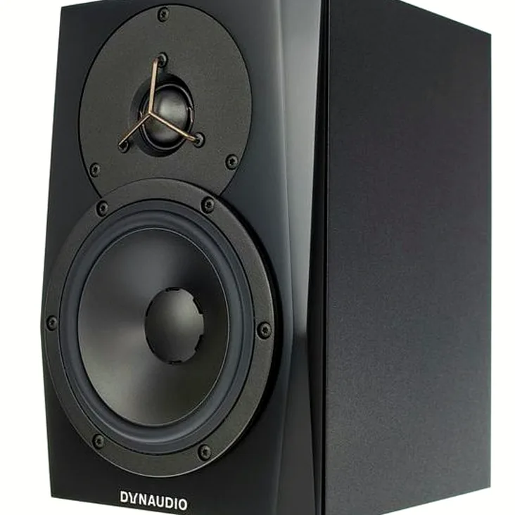 Dynaudio LYD-5 Black Recenze: Bližší pohled na komponenty