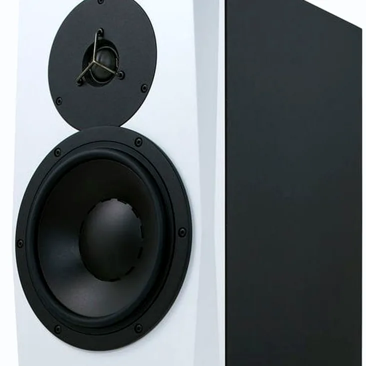Dynaudio LYD-8 Recenze: Poslechový test v praxi