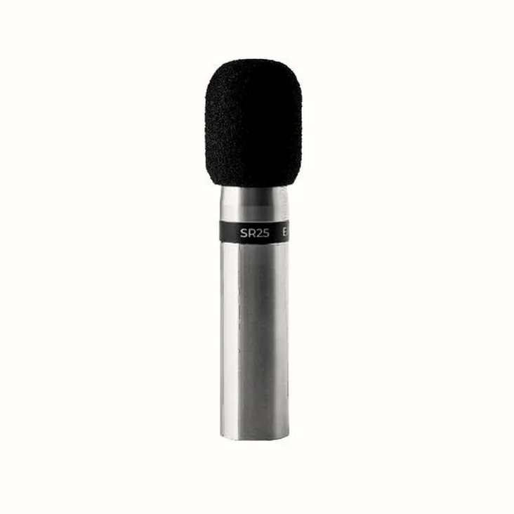 Earthworks Audio SR-25 Gen2 Recenze: Kontrola kvality zpracování