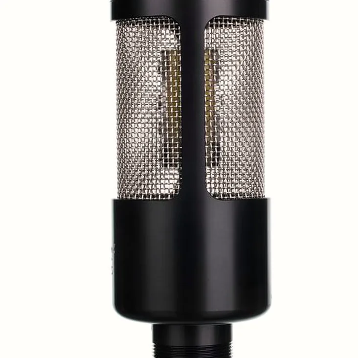 Ehrlund Microphones NANO Recenze: Silné a slabé stránky modelu