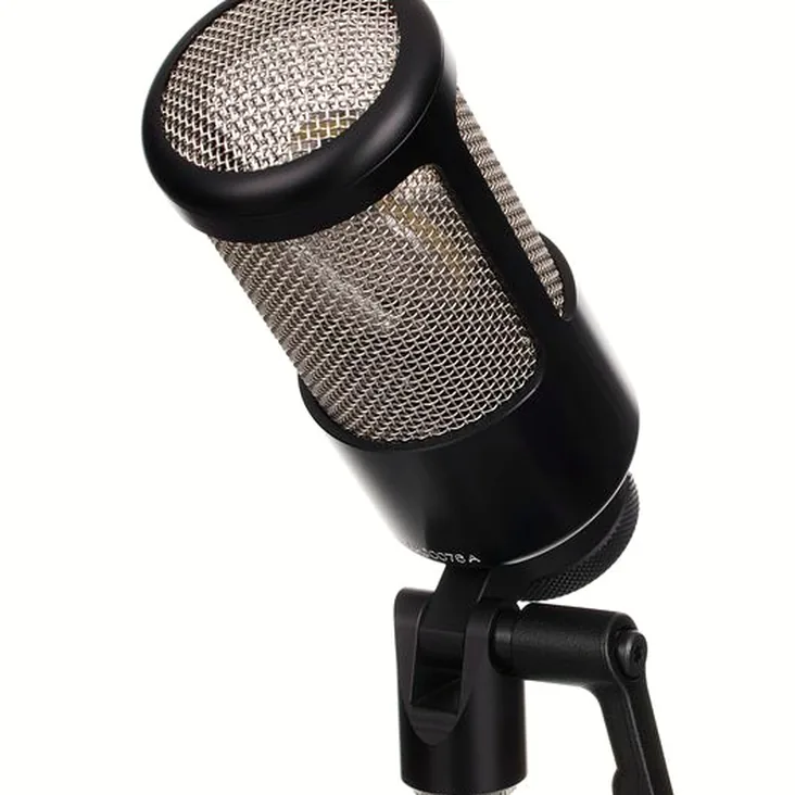 Ehrlund Microphones NANO Recenze: Silné a slabé stránky modelu