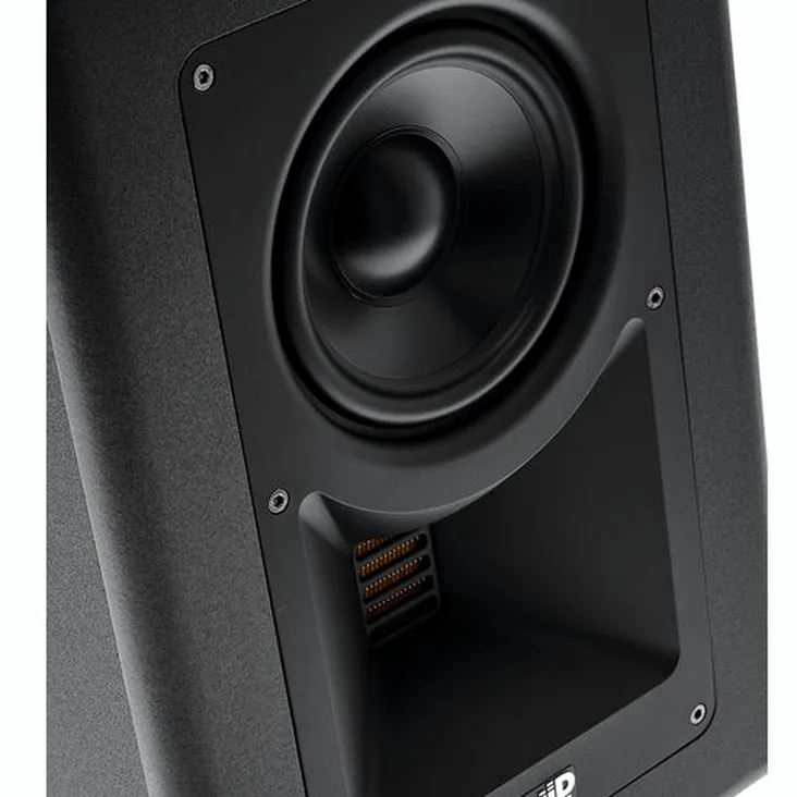 Fluid Audio Image 2 Recenze: Rychlá analýza nejdůležitějších vlastností