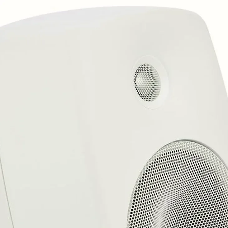 Genelec 8030 CW Recenze: Stojí stále za to si je vybrat?