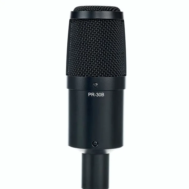Heil Sound PR30 Black Matte Recenze: Naše myšlenky po testování