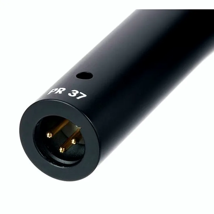 Heil Sound PR37 Recenze: Chytrý nákup pro producenta?