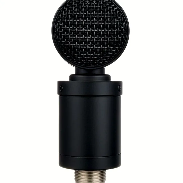Lauten Audio Tom Mic Recenze: Upřímný názor na zvuk