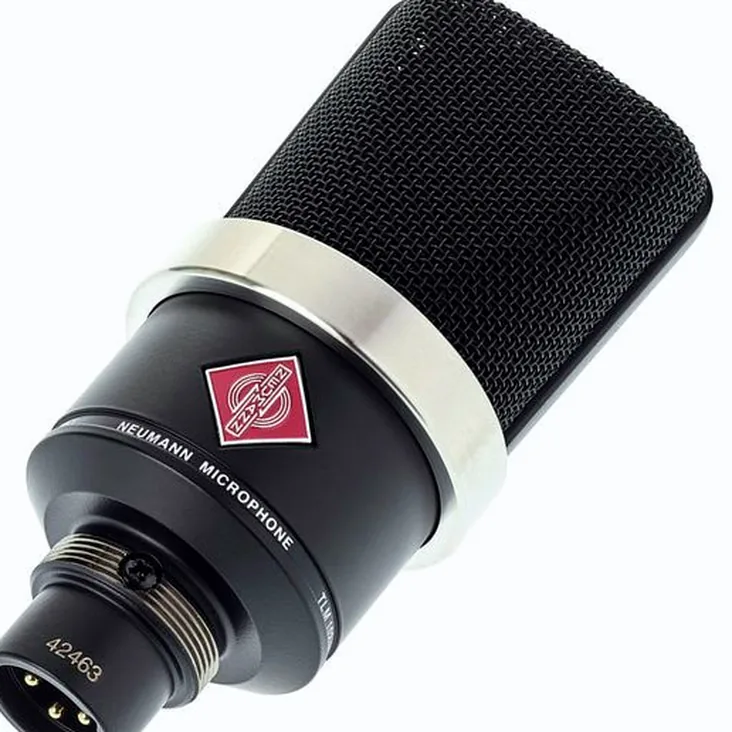 Neumann TLM 102 BK Recenze: Chytrý nákup pro producenta?