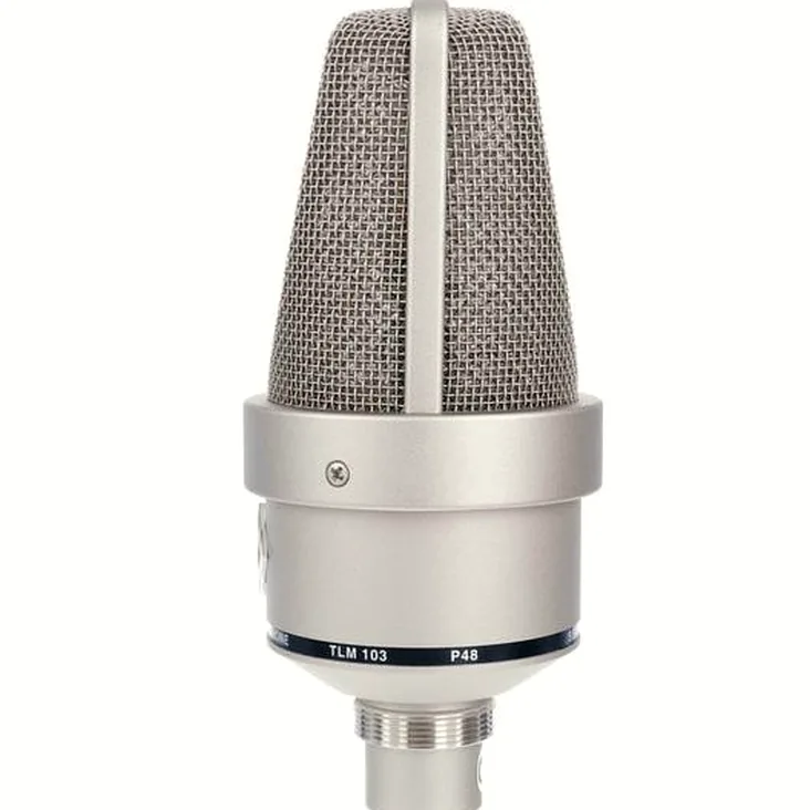 Neumann TLM 103 Mono Set Recenze: Podrobný popis konstrukce