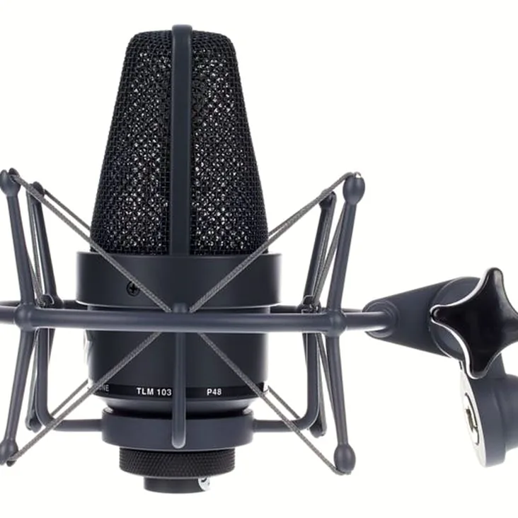 Neumann TLM 103 mt Stereo Set Recenze: Hit nebo propadák v této cenové kategorii?