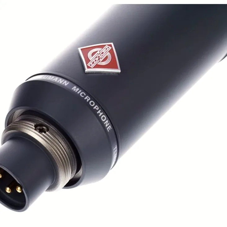 Neumann TLM 193 Recenze: Všechny podrobnosti o Neumann TLM 193