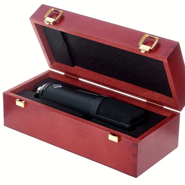 Neumann U89 I mt Recenze: Nejdůležitější funkce a parametry