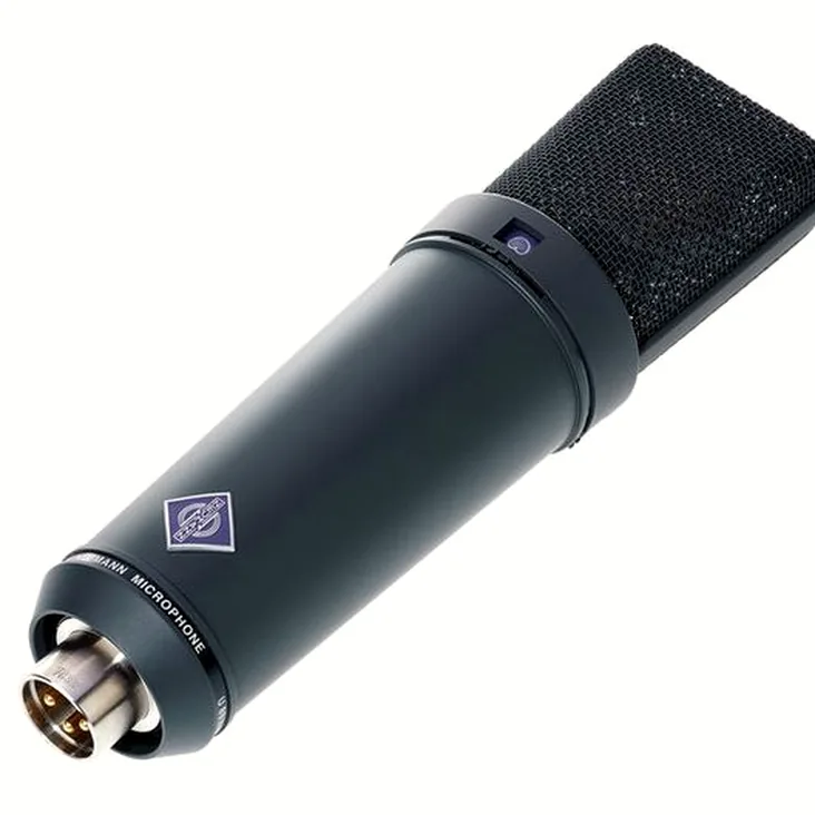Neumann U89 I mt Recenze: Nejdůležitější funkce a parametry