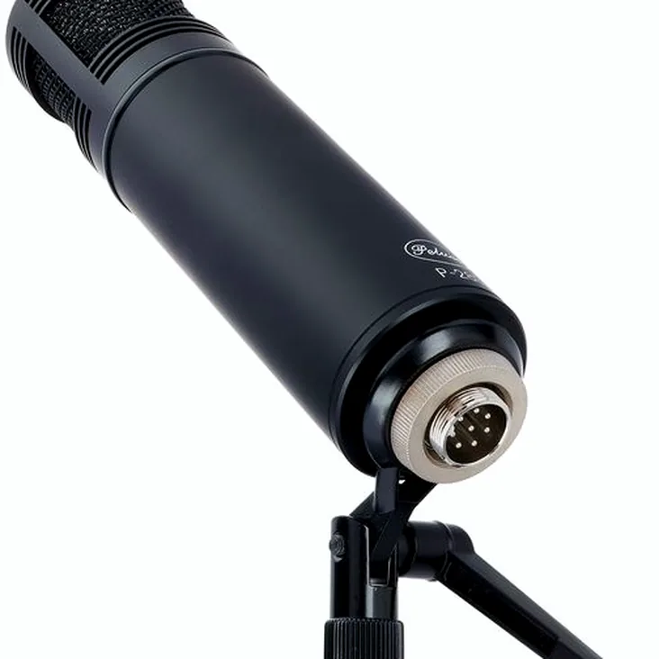 Peluso P-280 Recenze: Měli byste ho koupit do studia?