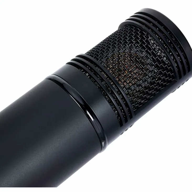 Peluso P-280 Recenze: Měli byste ho koupit do studia?