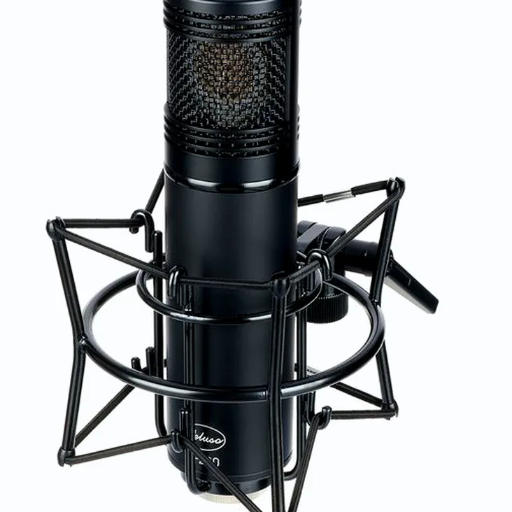 Peluso P-280 Recenze: Měli byste ho koupit do studia?