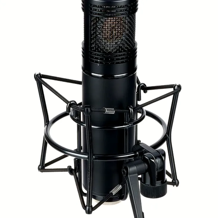 Peluso P-280 Recenze: Měli byste ho koupit do studia?
