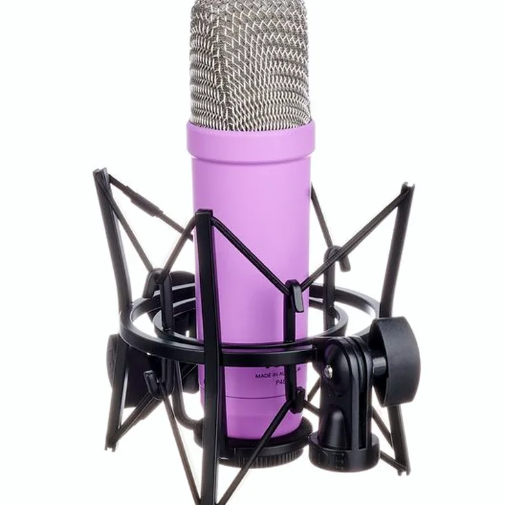 Rode NT1 Signature Purple Recenze: Podrobný popis konstrukce