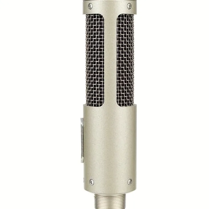 Royer Labs R-10 MP Recenze: Objektivní pohled na vybavení