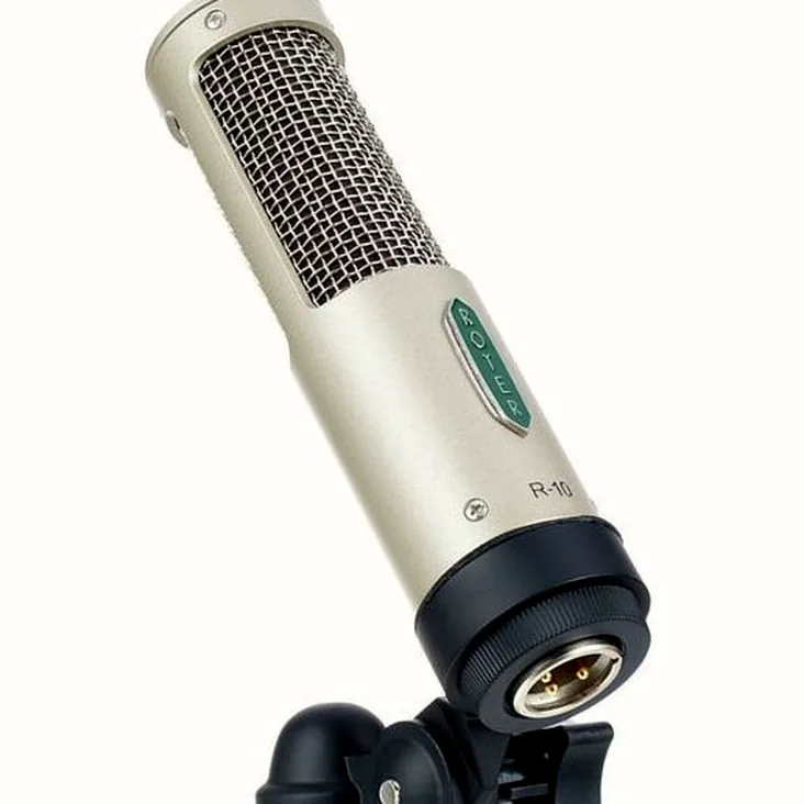 Royer Labs R-10 MP Recenze: Objektivní pohled na vybavení