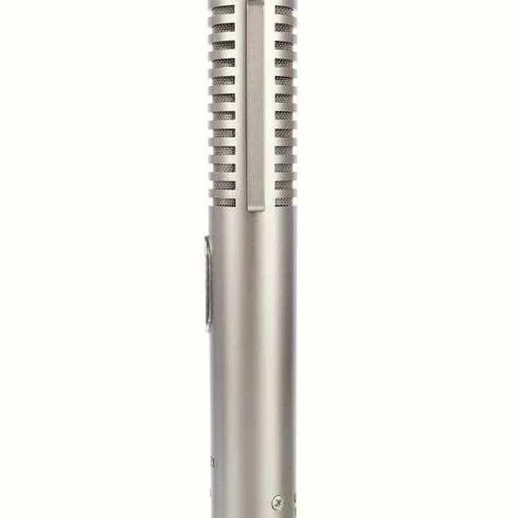 Royer Labs R-121 MP Recenze: Nejdůležitější funkce a parametry