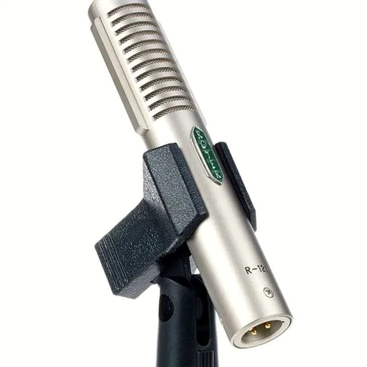 Royer Labs R-121 Recenze: Celá pravda o tomto mikrofonu
