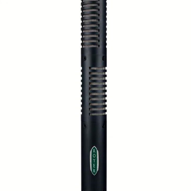 Royer Labs SF-12 Recenze: První dojmy z nahrávání