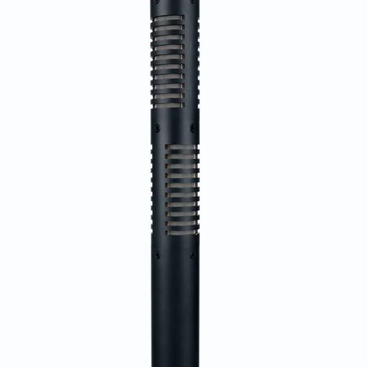Royer Labs SF-12 Recenze: První dojmy z nahrávání