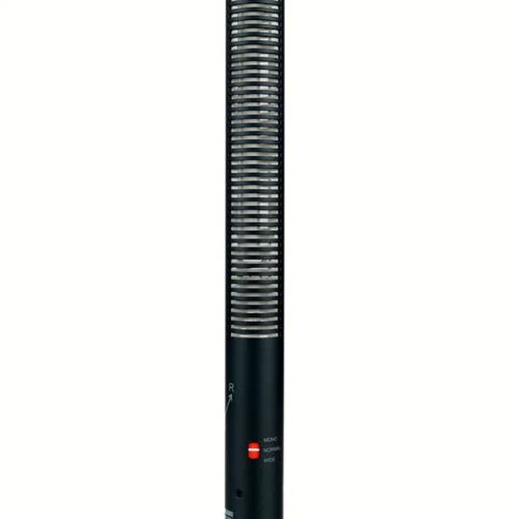Sanken CSS-50 Recenze: Naše myšlenky po testování