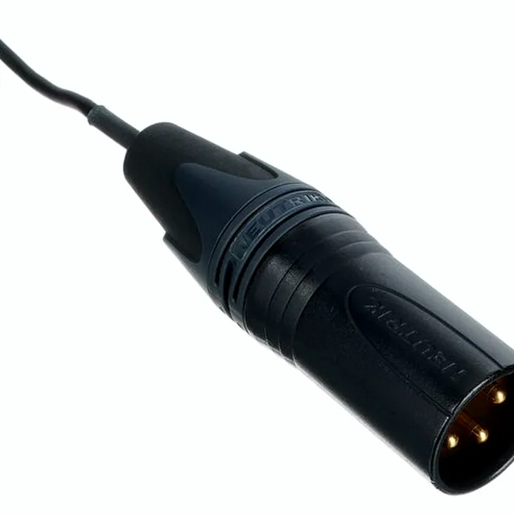 Schertler Dyn-Uni Recenze: Zpracování, tělo a zvuk